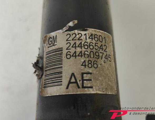 Suspension Strut OPEL ASTRA H TwinTop (A04)