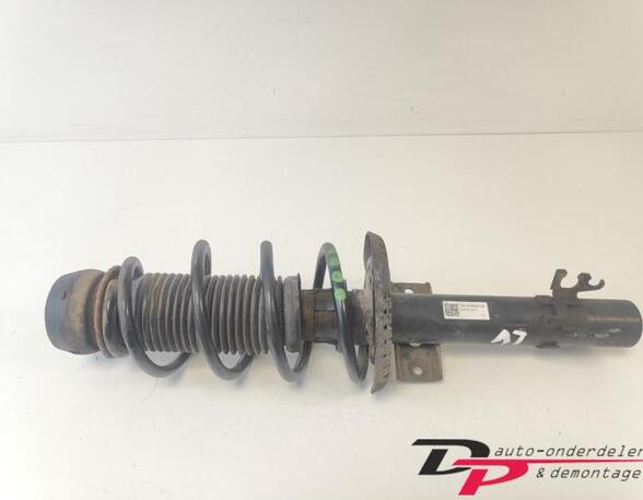 Suspension Strut VW POLO (6R1, 6C1), VW POLO Van (6R)