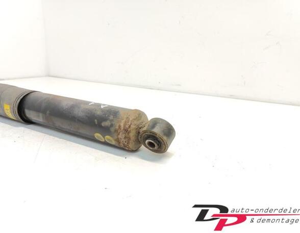 Shock Absorber CHEVROLET CAPTIVA (C100, C140)