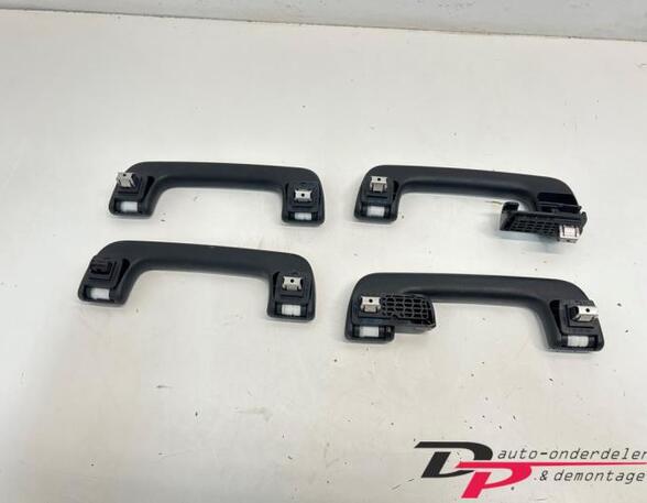 Grab Handle AUDI Q5 (FYB, FYG)