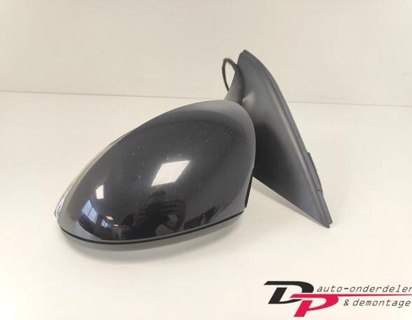 Wing (Door) Mirror VW TIGUAN (5N_), VW TIGUAN VAN (5N_), VW TIGUAN (AD1, AX1)