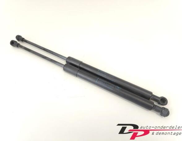 Gas Spring Engine Hood BMW 3er (E90)