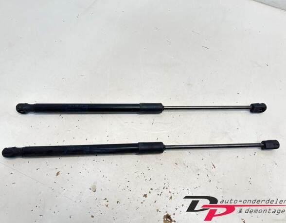 Gas Spring Engine Hood AUDI Q5 (FYB, FYG)