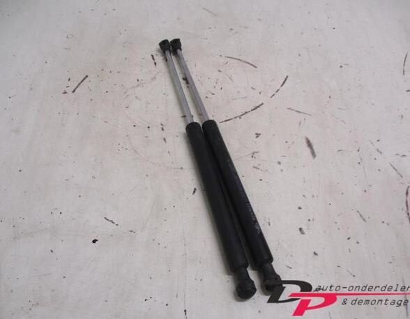 Bootlid (Tailgate) Gas Strut Spring RENAULT Clio II (BB, CB)