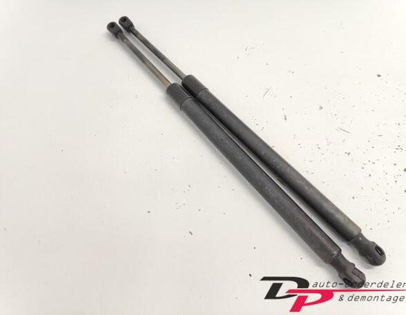 Bootlid (Tailgate) Gas Strut Spring VW TOURAN (1T1, 1T2), VW TOURAN (1T3), VW TOURAN VAN (1T3), VW TOURAN (5T1)