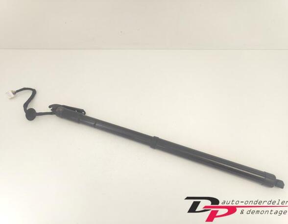 Bootlid (Tailgate) Gas Strut Spring NISSAN X-TRAIL (T32_)