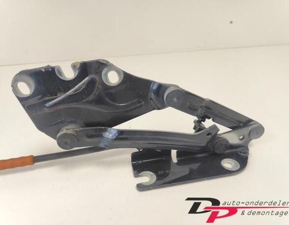 Bonnet Hinge VW Golf Plus (521, 5M1)