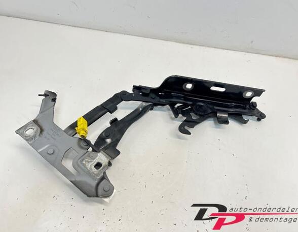 Bonnet Hinge AUDI Q5 (FYB, FYG)