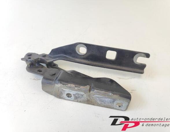 Bonnet Hinge VW GOLF V (1K1), VW GOLF VI (5K1), VW GOLF VI Van (5K1_), VW GOLF VI Variant (AJ5)