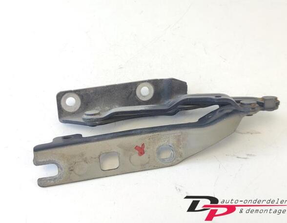 Bonnet Hinge VW GOLF V (1K1), VW GOLF VI (5K1), VW GOLF VI Van (5K1_), VW GOLF VI Variant (AJ5)