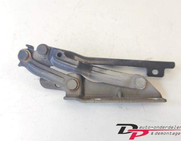 Bonnet Hinge VW GOLF V (1K1), VW GOLF VI (5K1), VW GOLF VI Van (5K1_), VW GOLF VI Variant (AJ5)