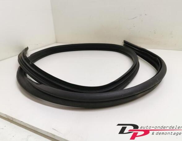 Door Seal FORD Focus II (DA, DP, HCP)