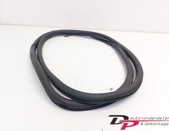 Door Seal VW Tiguan (5N)