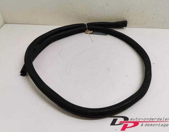 Door Seal PEUGEOT 307 CC (3B)