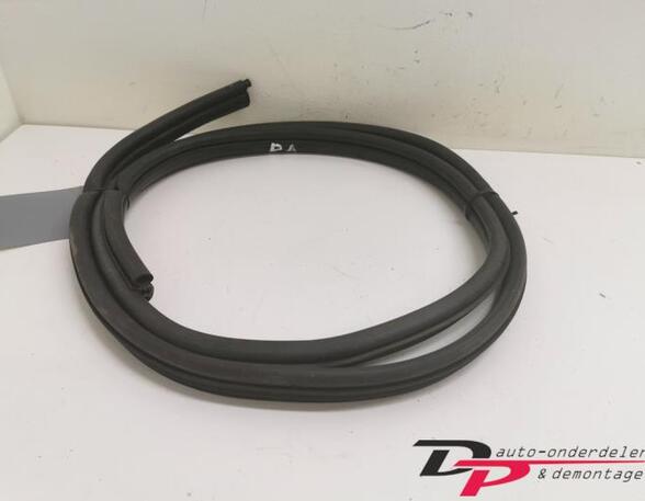 Door Seal RENAULT Clio II (BB, CB), RENAULT Thalia I (LB0/1/2)