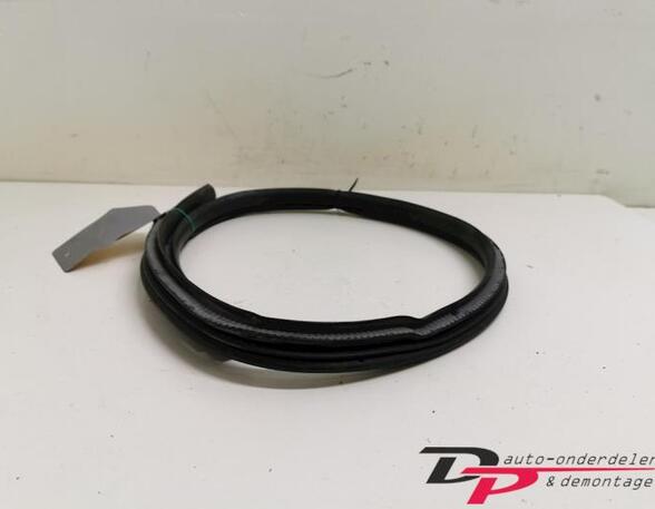 Door Seal SUZUKI Swift III (EZ, MZ)