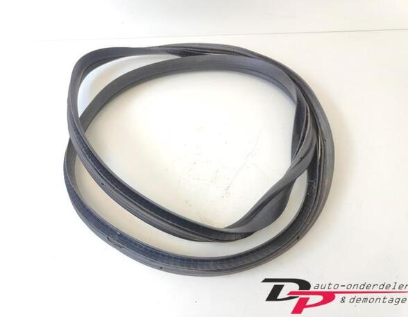 Door Seal PEUGEOT 107 (PM, PN)