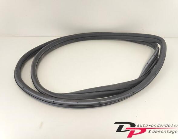 Door Seal FIAT 500 (312), FIAT 500 C (312), FIAT 500/595/695 (312), FIAT 500C/595C/695C (312)