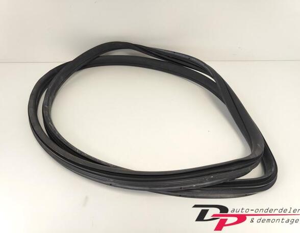 Door Seal FIAT 500 (312), FIAT 500 C (312), FIAT 500/595/695 (312), FIAT 500C/595C/695C (312)