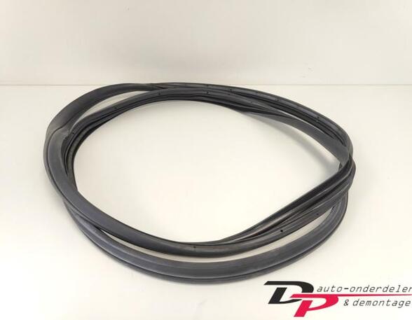 Door Seal FIAT 500 (312), FIAT 500 C (312), FIAT 500/595/695 (312), FIAT 500C/595C/695C (312)