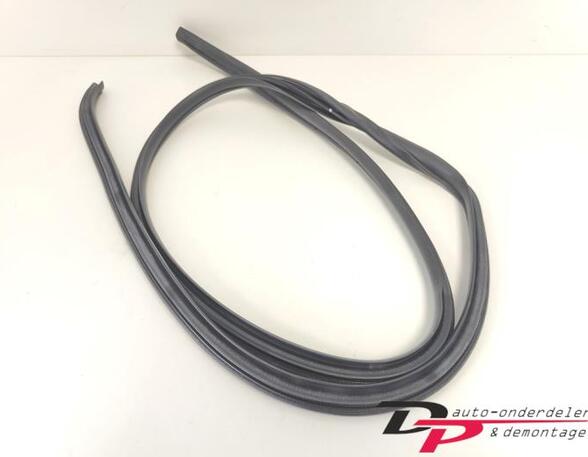 Door Seal TOYOTA Yaris (P13)