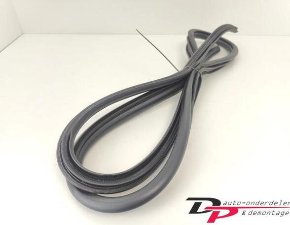 Door Seal TOYOTA Yaris (P13)