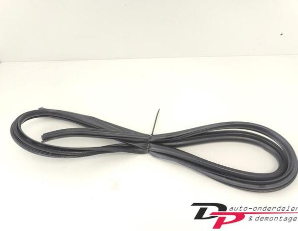 Door Seal TOYOTA Yaris (P13)