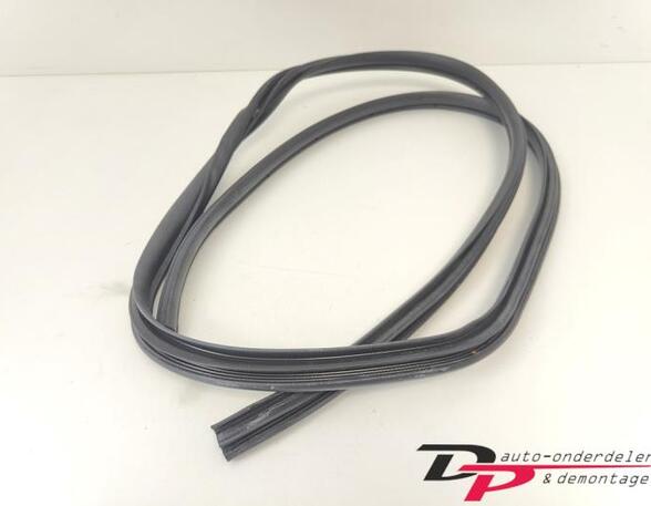 Door Seal TOYOTA Yaris (P13)