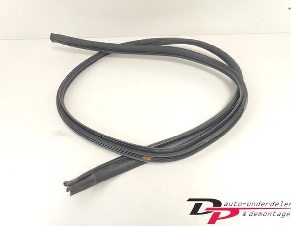 Door Seal TOYOTA Yaris (P13)