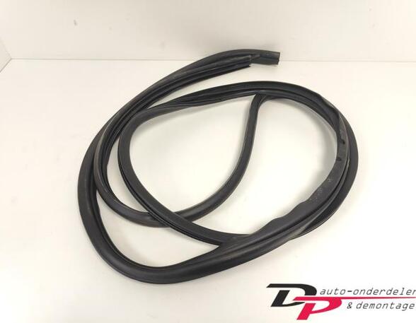 Door Seal MAZDA RX-8 (SE, FE)