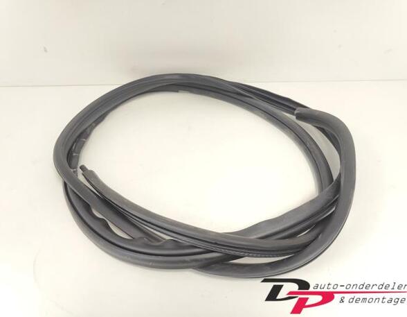 Door Seal MAZDA RX-8 (SE, FE)