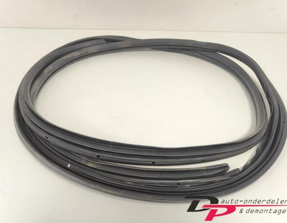 Door Seal MAZDA RX-8 (SE, FE)