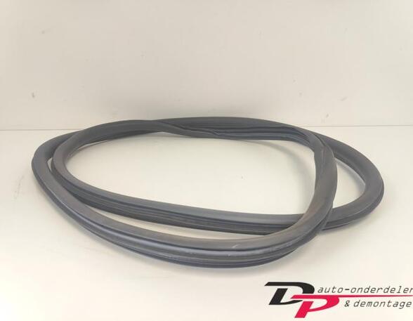 Door Seal CITROËN C3 II (SC_), CITROËN DS3, DS DS 3 (SA_)