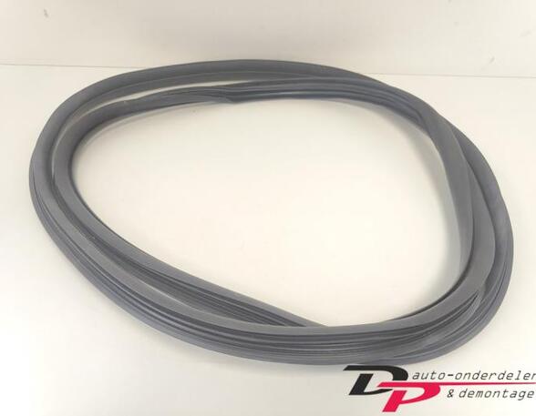 Door Seal CITROËN C3 II (SC_), CITROËN DS3, DS DS 3 (SA_)