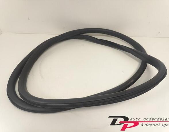 Door Seal CITROËN C3 II (SC_), CITROËN DS3, DS DS 3 (SA_)