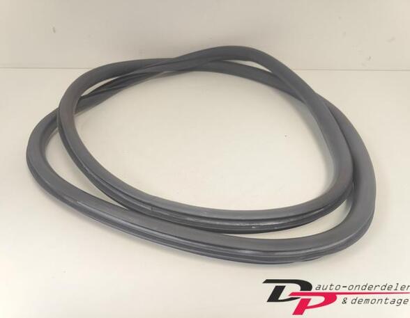 Door Seal CITROËN C3 II (SC_), CITROËN DS3, DS DS 3 (SA_)