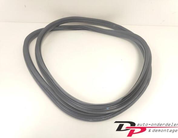 Door Seal CITROËN C3 II (SC_), CITROËN DS3, DS DS 3 (SA_)