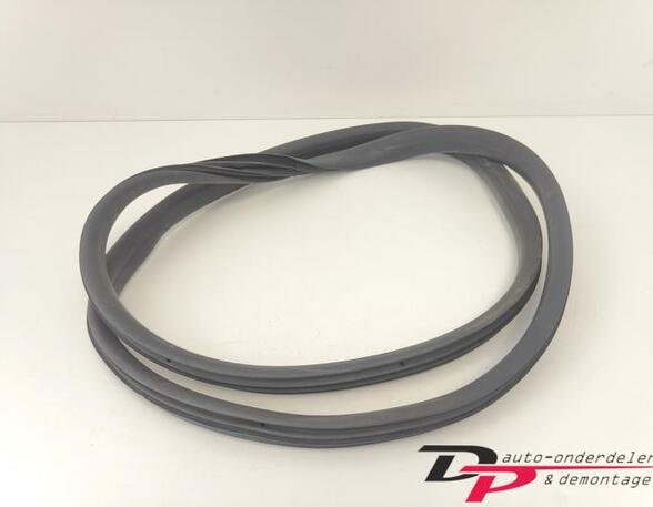 Door Seal RENAULT CAPTUR I (J5_, H5_), RENAULT CLIO IV (BH_), RENAULT CLIO III (BR0/1, CR0/1)