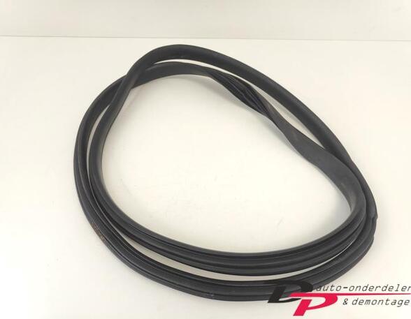 Door Seal RENAULT CAPTUR I (J5_, H5_), RENAULT CLIO IV (BH_), RENAULT CLIO III (BR0/1, CR0/1)