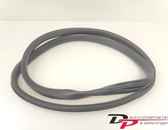 Door Seal RENAULT CAPTUR I (J5_, H5_), RENAULT CLIO IV (BH_), RENAULT CLIO III (BR0/1, CR0/1)