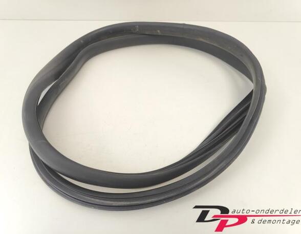 Door Seal RENAULT CAPTUR I (J5_, H5_), RENAULT CLIO IV (BH_), RENAULT CLIO III (BR0/1, CR0/1)