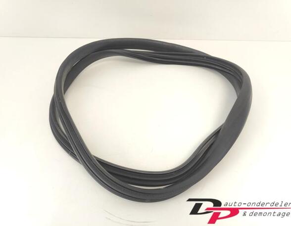 Door Seal RENAULT CAPTUR I (J5_, H5_), RENAULT CLIO IV (BH_), RENAULT CLIO III (BR0/1, CR0/1)