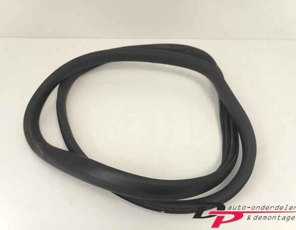 Door Seal RENAULT CAPTUR I (J5_, H5_), RENAULT CLIO IV (BH_), RENAULT CLIO III (BR0/1, CR0/1)