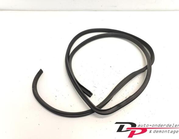 Door Seal HYUNDAI i10 (PA)