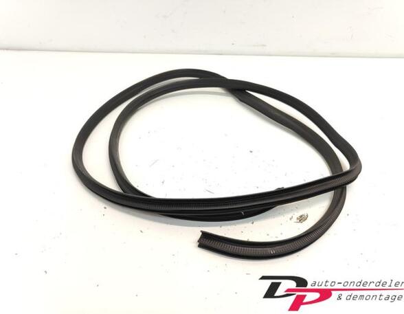 Door Seal HYUNDAI i10 (PA)