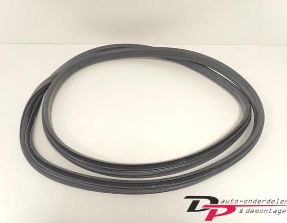 Door Seal RENAULT CLIO IV Grandtour (KH_), RENAULT CLIO III Grandtour (KR0/1_)