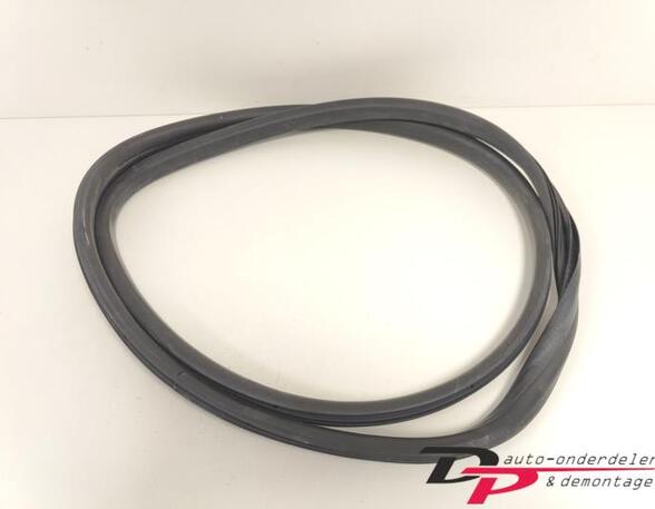 Door Seal RENAULT CLIO IV Grandtour (KH_), RENAULT CLIO III Grandtour (KR0/1_)