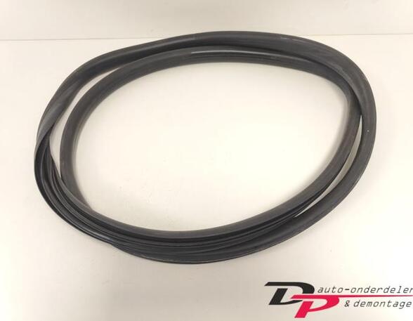 Door Seal RENAULT CLIO IV Grandtour (KH_), RENAULT CLIO III Grandtour (KR0/1_)