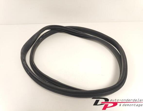 Door Seal RENAULT CLIO IV Grandtour (KH_), RENAULT CLIO III Grandtour (KR0/1_)