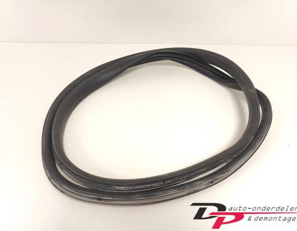 Door Seal RENAULT CLIO IV Grandtour (KH_), RENAULT CLIO III Grandtour (KR0/1_)